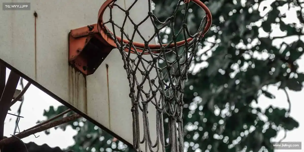 行业领先的理由